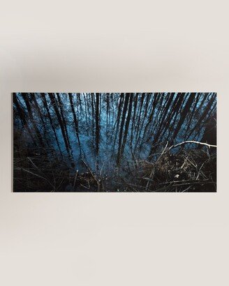 Four Hands Art Studio Into the Woods Photography Handmade HD Metal & Acrylic Print Art