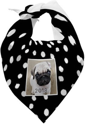 Pet Bandanas: Pet Gallery Of One Bandana