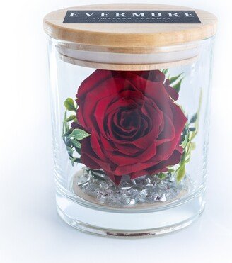 Preserved Red Rose Bridal Gift - Shower Wedding Gift For Girlfriend Wife Gifts Her Anniversary