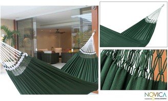 Cotton 'Ipanema Palm' Hammock