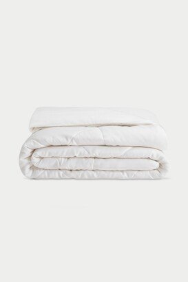 Cozy Earth All Season Quilted Comforter, Twin