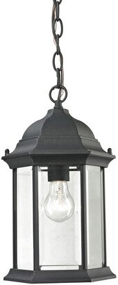 Artistic Home & Lighting Spring Lake 1-Light Outdoor Pendant-AA