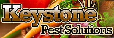 Keystone Pest Solutions Promo Codes & Coupons