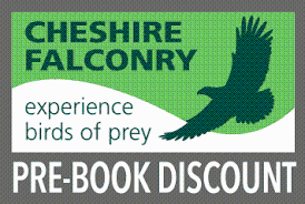 Cheshire Falconry Promo Codes & Coupons