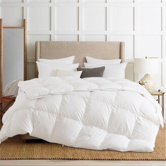 Contemporary Brushed Cotton and Microfiber Comforter - White Goose Down and Feather Fill, 700 Fill Power, Duvet Insert