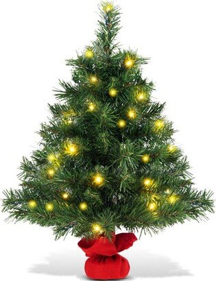 2 FT Pre-Lit Tabletop Fir Artifical Christmas Tree Led Lights