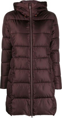 Taylor hooded padded jacket