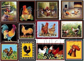 Set Of 12 Rooster-Chicken Magnets - Each Magnet Approximately 2