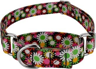 Country Brook Petz Daisy Fields Martingale Dog Collar (1 Inch, Large)