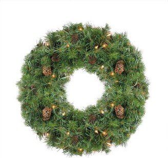 Northlight 24 Prelit Red Pine Artificial Christmas Wreath - Clear Lights