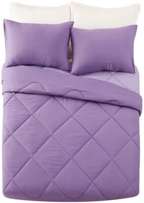 Iris 2 Piece Comforter Set, Twin/ Twin Xl