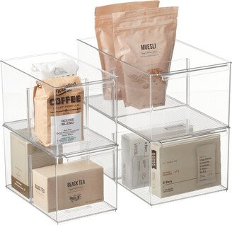 Everything Organizer Pantry Bin Starter Clear Set of 4