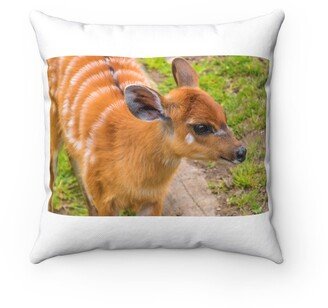 Western Sitatunga Marshbuck Pillow - Throw Custom Cover Gift Idea Room Decor