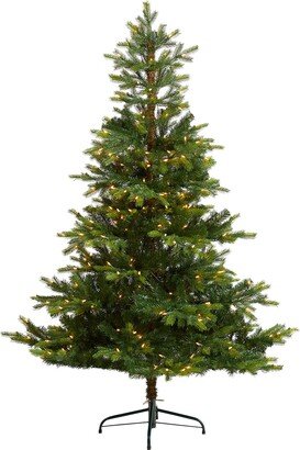 6ft. North Carolina Spruce Artificial Christmas Tree with 350 Clear Lights and 631 Bendable Branches