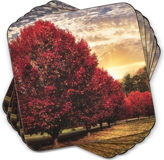 Crimson Trees Coasters Set of 6 - 4.25 Square