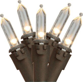 Northlight 100 White Led Mini Christmas Lights 4 Spacing - Brown Wire