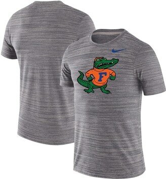 Men's Charcoal Florida Gators Big and Tall Historic Logo Velocity Performance T-shirt