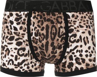 Leopard-Print Stretch-Cotton Boxers