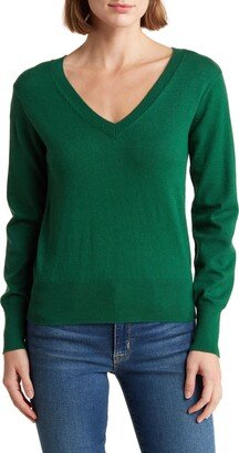 V-Neck Sweater-AD