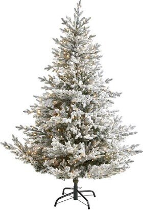 6’ Flocked Fraser Fir Prelit Artificial Christmas Tree