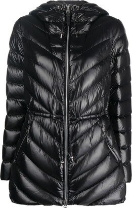 Fitted-Waist Padded Jacket