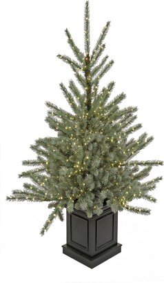 National Tree Company 4' Pre-Lit Christmas Evergreen Entrance Tree