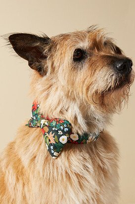 The Foggy Dog Holiday Bow Tie