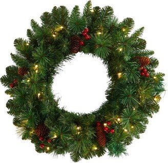 20” Frosted Pine Artificial Christmas Wreath with Pinecones, Berries and 35 Warm White LED Lights