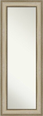 Non-Beveled Full Length On The Door Mirror - Colonial Frame - Colonial Light Gold - Outer Size: 20 x 54 in