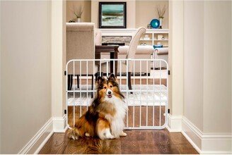 Expandable Gate with Small Dog Door - White