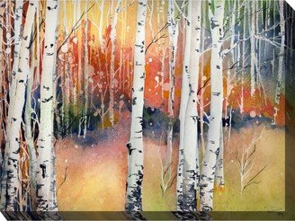 Colorado Aspens Indoor/Outdoor Art, 40 x 30