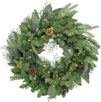 Northlight Pre-Lit Mixed Winter Pine Artificial Christmas Wreath - 24 Inch Clear Lights