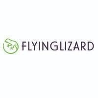Flying Lizard Boutique Promo Codes & Coupons