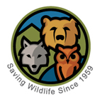 Big Bear Alpine Zoo Promo Codes & Coupons