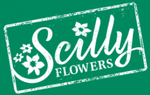 Scilly Flowers Promo Codes & Coupons