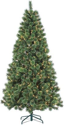 Sterling Tree Company 7Ft Pre-Lit Hard Needle Deluxe Cashmere Pine With 550 Clear Lights