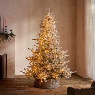 Faux Pre-Lit Snowy Norway Spruce