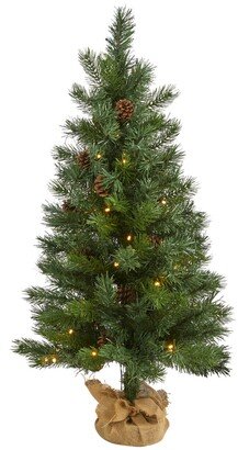 Fraser Fir Natural Look Artificial Christmas Tree with 50 Clear Led Lights, Pinecones, A Burlap Base and 90 Bendable Branches