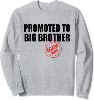 Promoted Again New Baby Gifts Family Matching Promoted To Big Brother 2024 Again For New Big Brother Sweatshirt