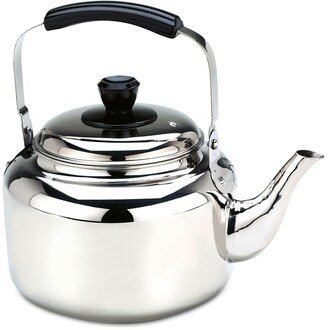 4.2-Qt. Stainless Steel Tea Kettle