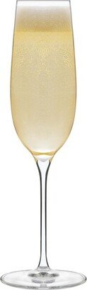 Signature Kentfield Champagne Flute Glasses, 8-ounce, Set of 4