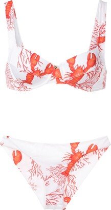 Sea Life-Print Bikini Set