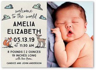 Birth Announcements: Illustrated Woodland Birth Announcement, Brown, 5X7, Matte, Signature Smooth Cardstock, Square