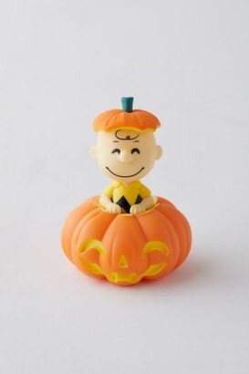 Youtooz Pumpkin Patch Charlie Brown Figure