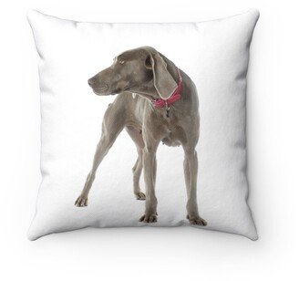 Weimaraner Pillow - Throw Custom Cover Gift Idea Room Decor