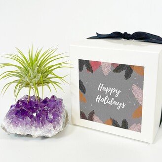 Unique Holiday Gifts For Women - Amethyst Crystal Air Plant Holder Includes Live & Gift Box Thoughtful Her