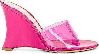 Plexi Wedge in Pink