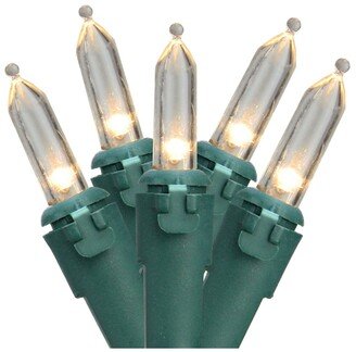 Northlight Set of 100 Warm White Led Mini Christmas Lights 4 Spacing - Green Wire