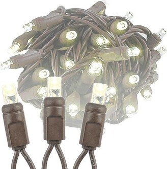 Novelty Lights Inc Novelty Lights 50 Light Warm White LED Christmas Mini Light Set (Brown Wire, 25 Feet)