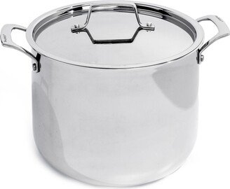 Professional 18/10 Stainless Steel Tri-Ply 8 Quart Stockpot with Lid